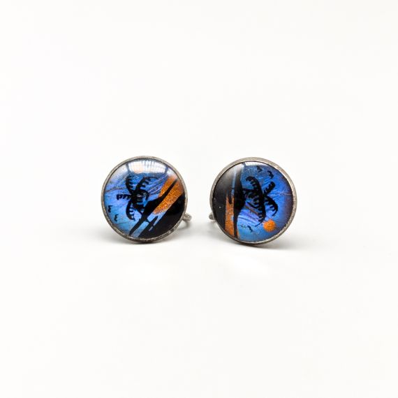 Pendientes de plata S830 3.65g 15mm