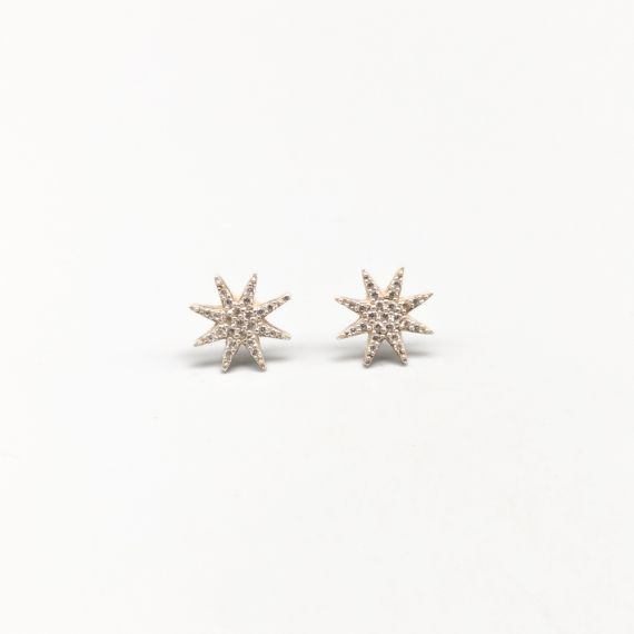 Aretes en Plata con Piedras Blancas S925 1.07g 11mm