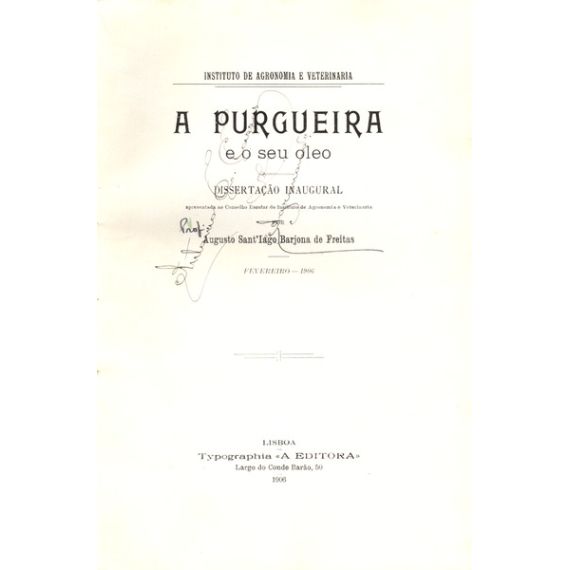 La PURGUERA Y SU ACEITE.